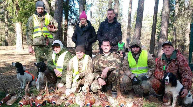 В угодьях учебно-охотничьего хозяйства Могилевского государственного агролесотехнического колледжа имени К.П.Орловского прошла организованная охота на выпускного фазана для охотников-спаниелистов, членов Секции спаниелей РГОО БООР «Спаниели Беларуси».