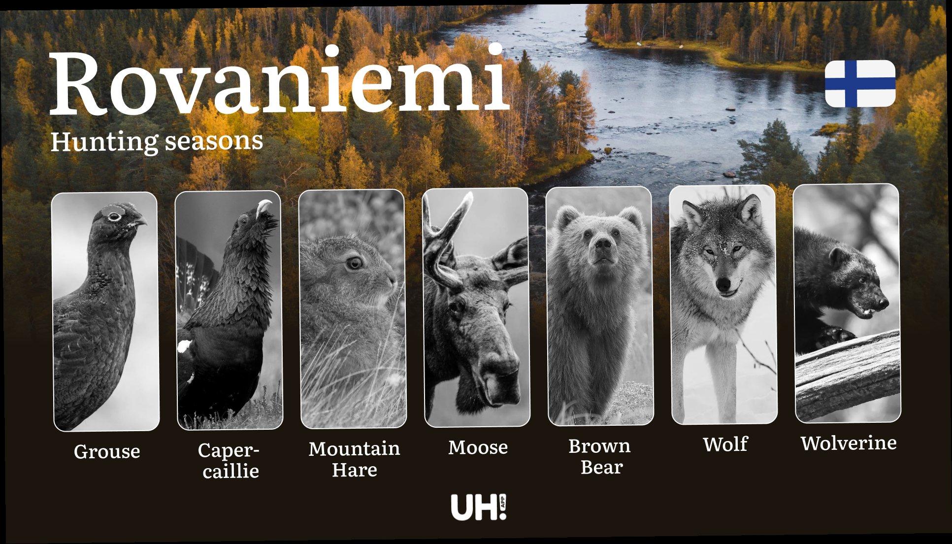 Hunting Seasons in ROVANIEMI: Opening & Closing Dates, Required Licenses, Key Regulations and Restrictions