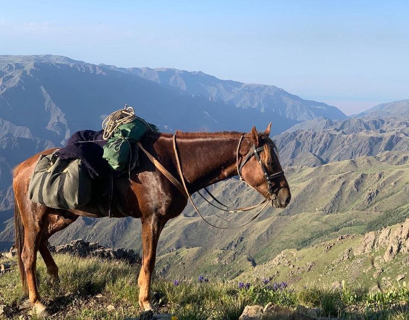 🇺🇸 The season has already started in Kazakhstan, thus, no time is to be wasted in the comforts of civilization.