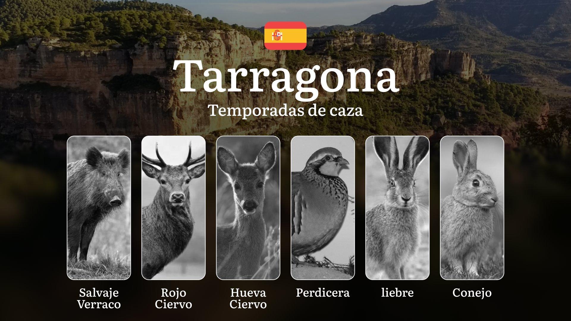 Temporadas de Caza en TARRAGONA: Normativas, Temporadas y períodos de caza, Consejos para una Caza Responsable