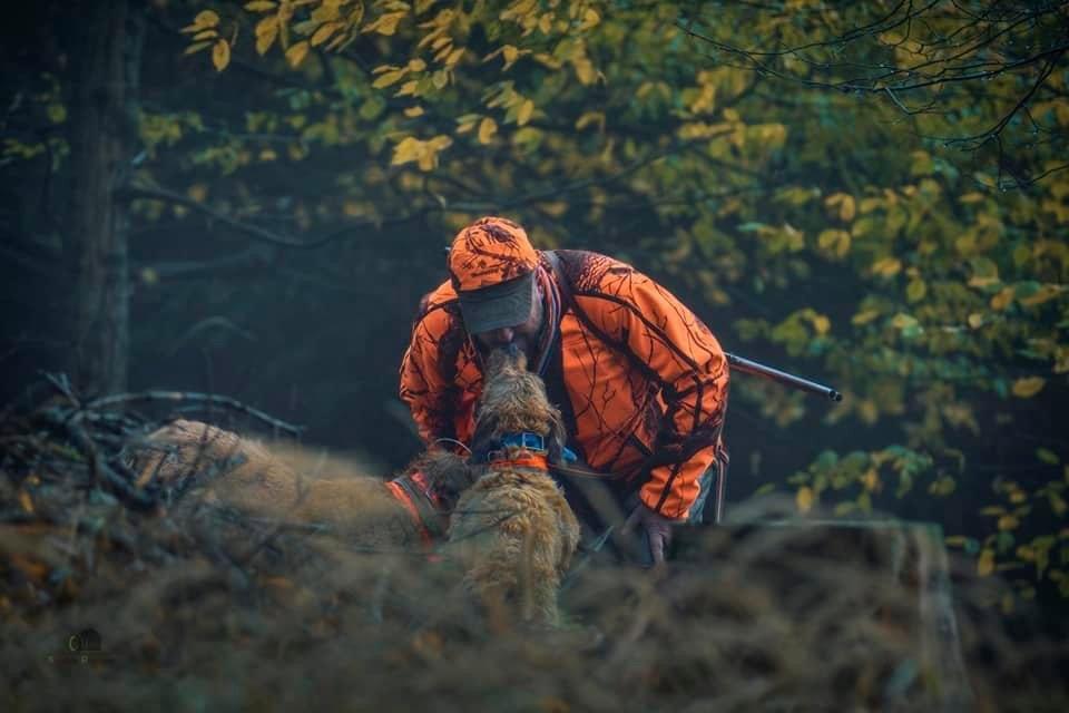 🐗🐗🐗 Wild boar hunting in deep forests.
