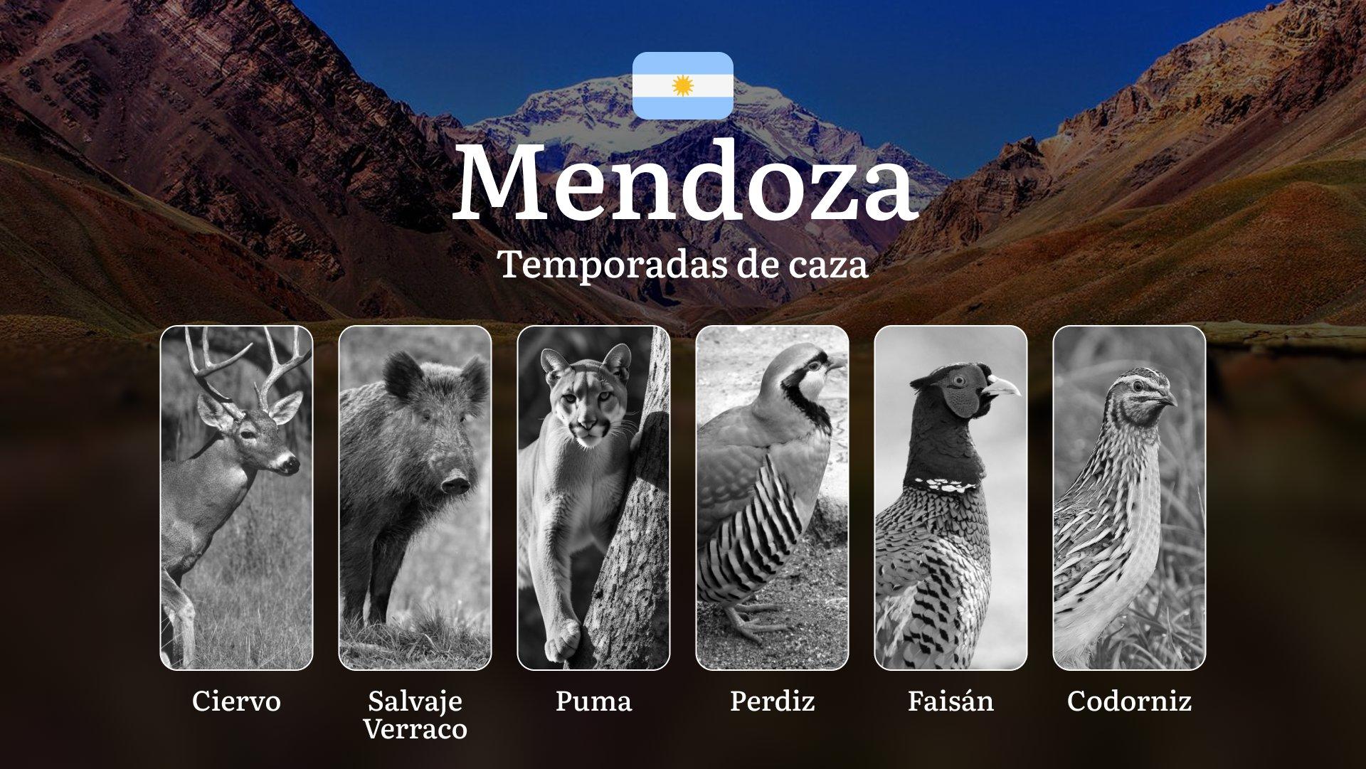 Temporadas de caza en la región de Mendoza, Argentina: fechas, permisos, normas y mejores épocas para la caza, estacionalidad de la caza
