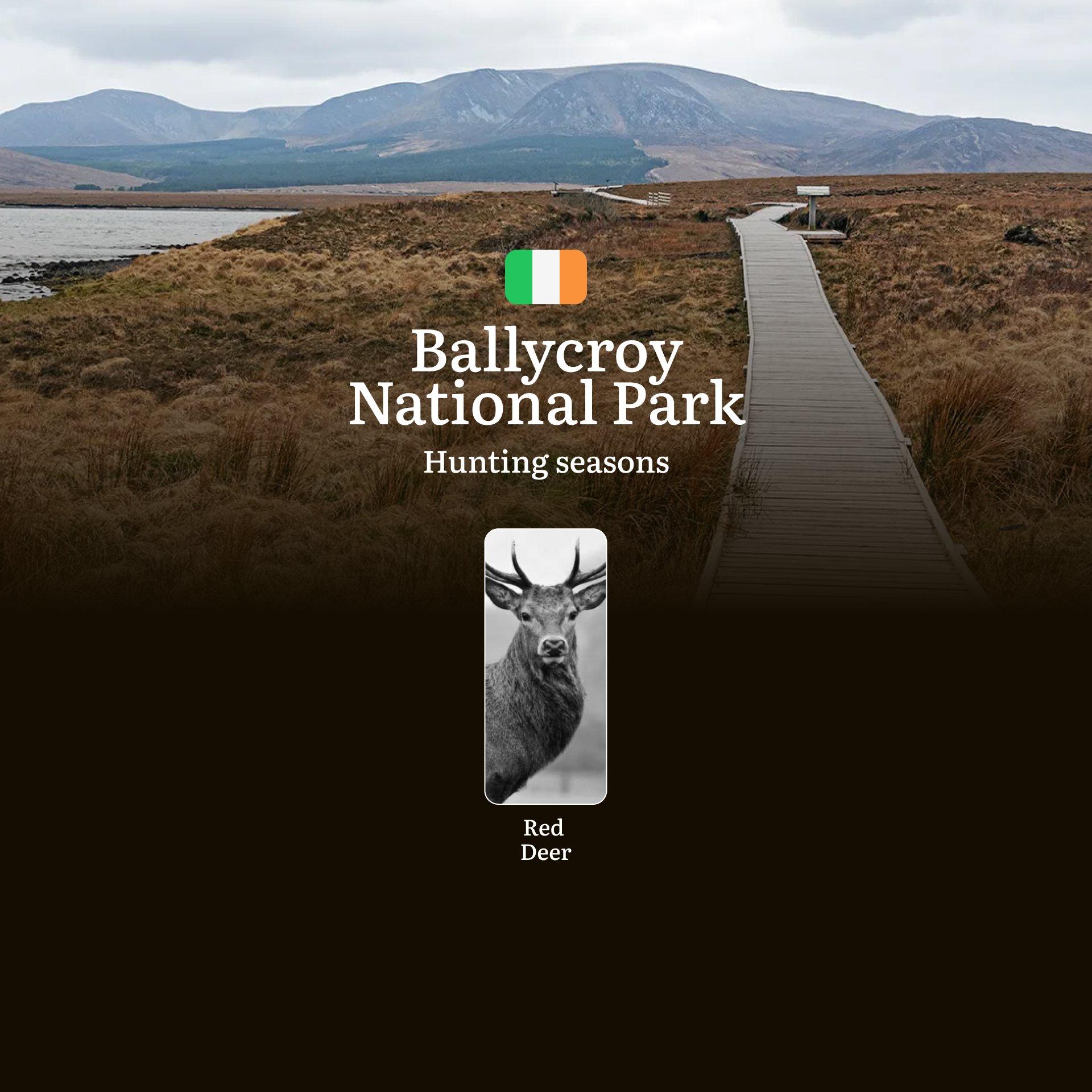 BALLYCROY NATIONAL PARK Hunting Seasons: Hunting Calendar, Licensing Essentials, and Expert Strategies for Ireland's Wilderness