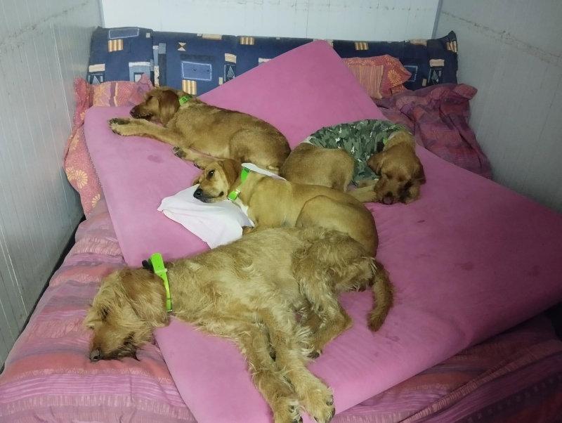 Très belle ouverture pour les Tounes en Ardèche :