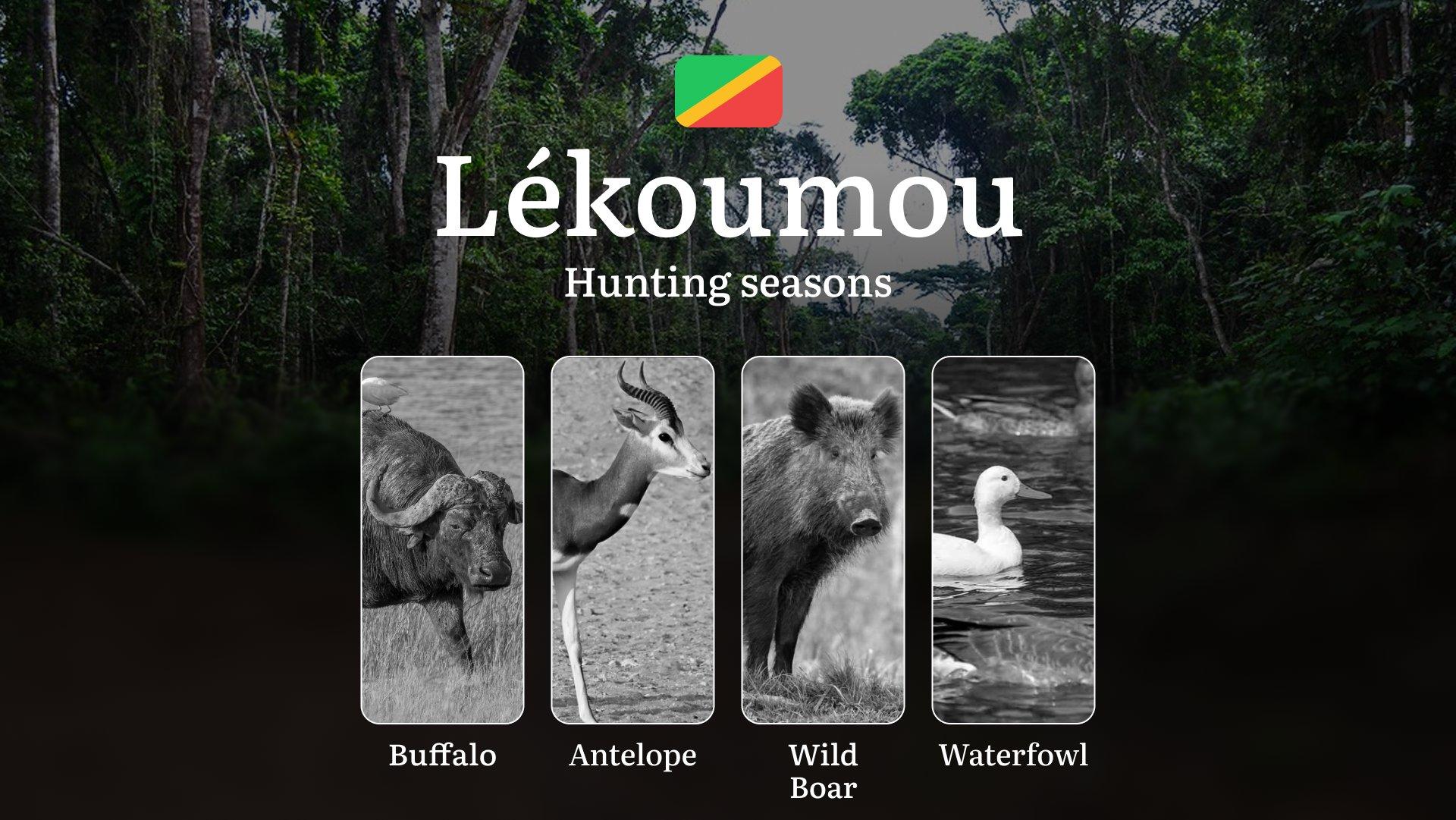 Hunting Time in the Republic of the Congo, Lékoumou Region: Seasonality, Permits, Rules, and Periods for Hunting, Liability for Violating Hunting 