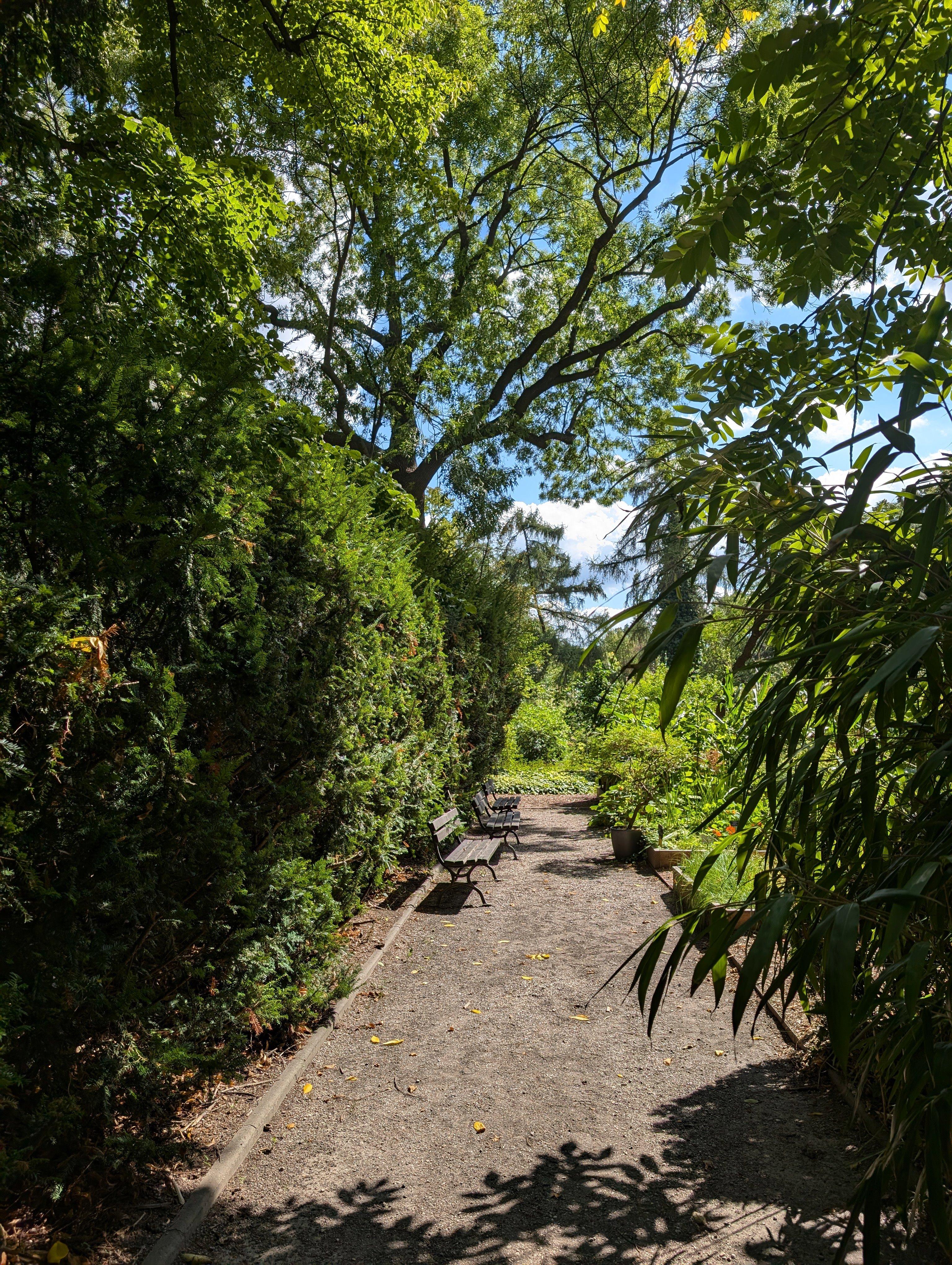 Secluded haven, lush and green,