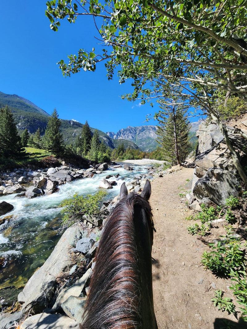 Montana