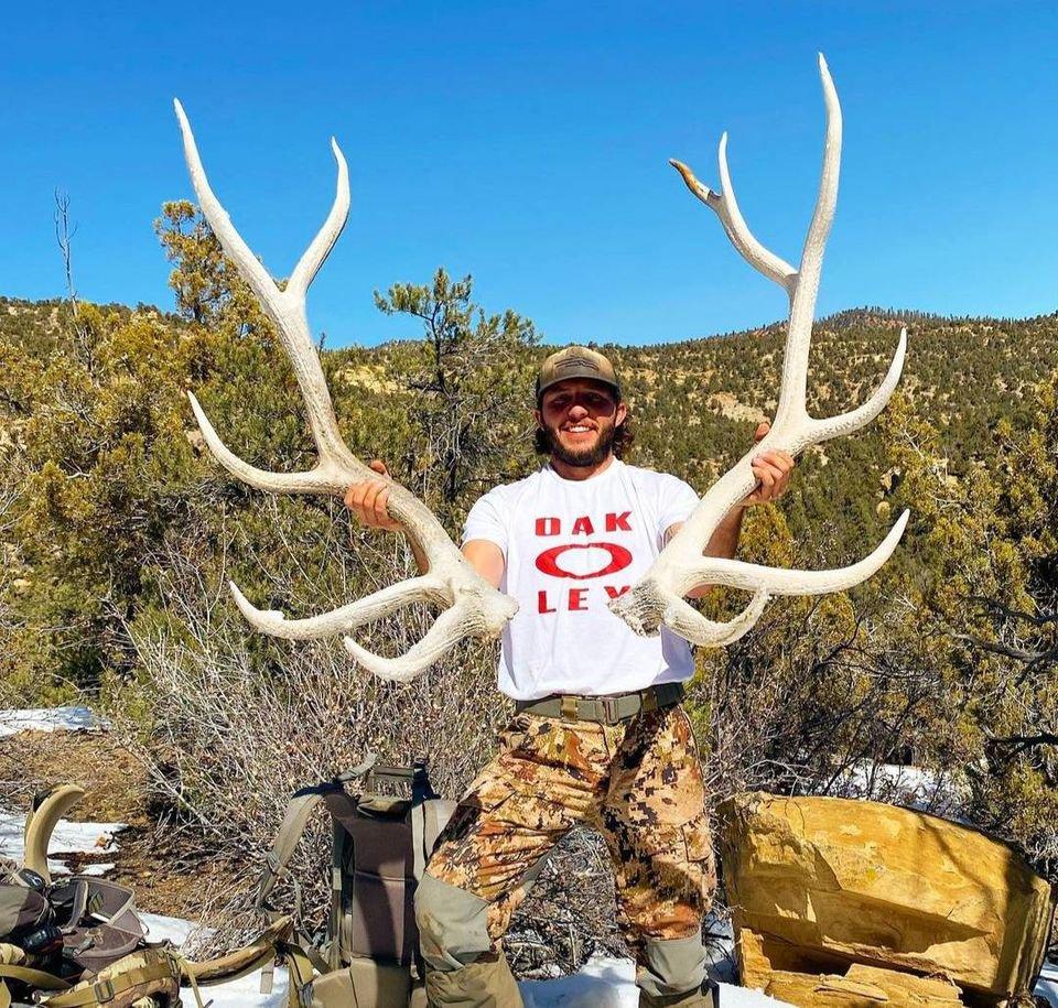 Antlers are extensions of an animal's skull found in members of the Cervidae (deer) family.