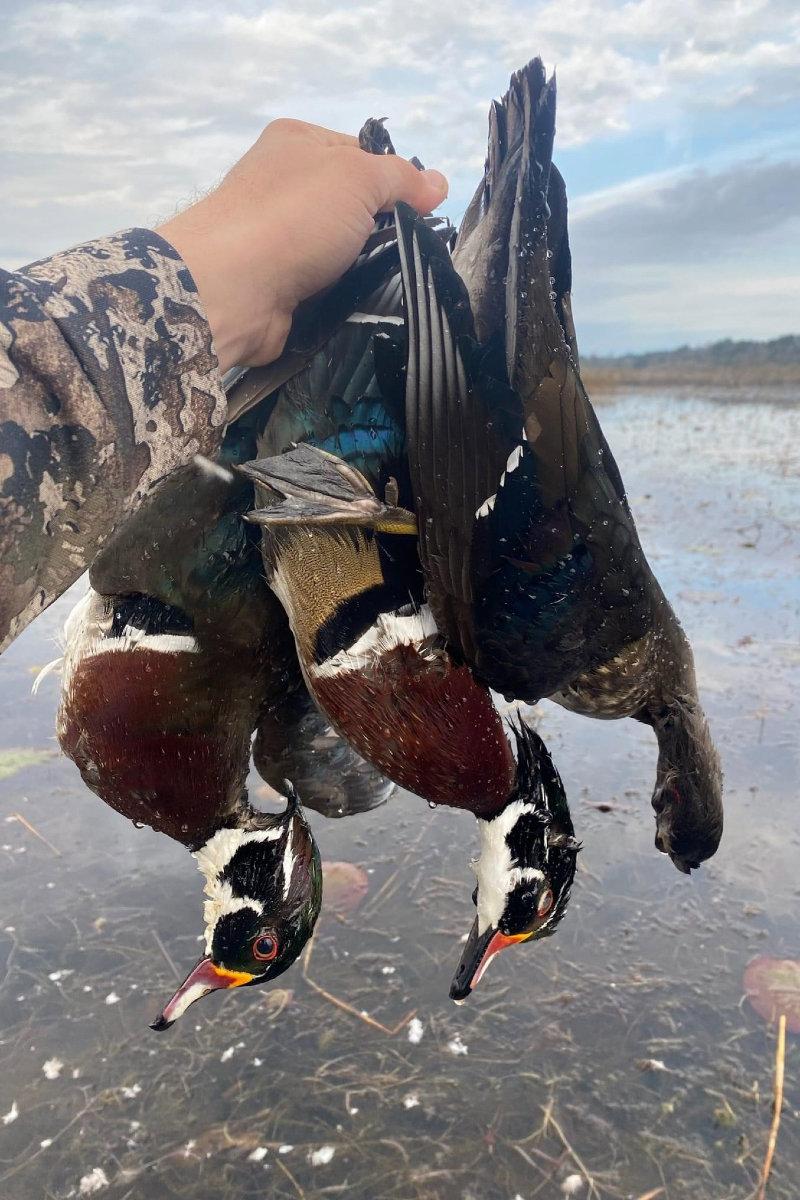 My son Matt has been hittin some remote puddle lakes the last 3 saturdays with his buddies Clint and Carson.