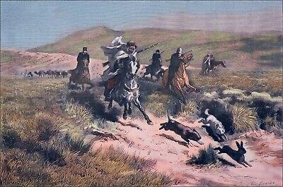 Hare Hunting in Morocco: Complete Guide to Seasons, Locations, Gear, and Costs