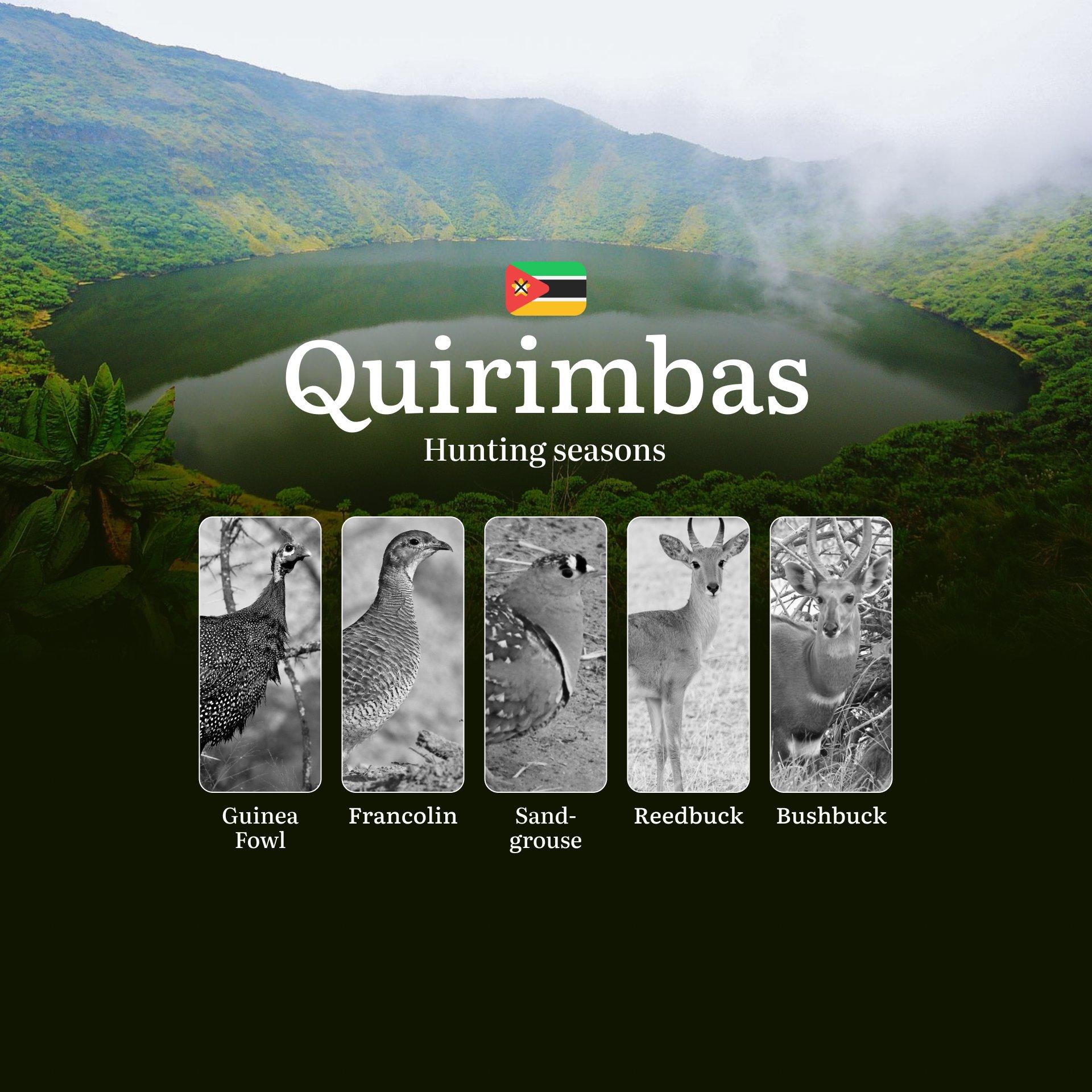 The Hunting Calendar of Quirimbas' Borderlands – Where Coastal Mystique Meets African Bushcraft