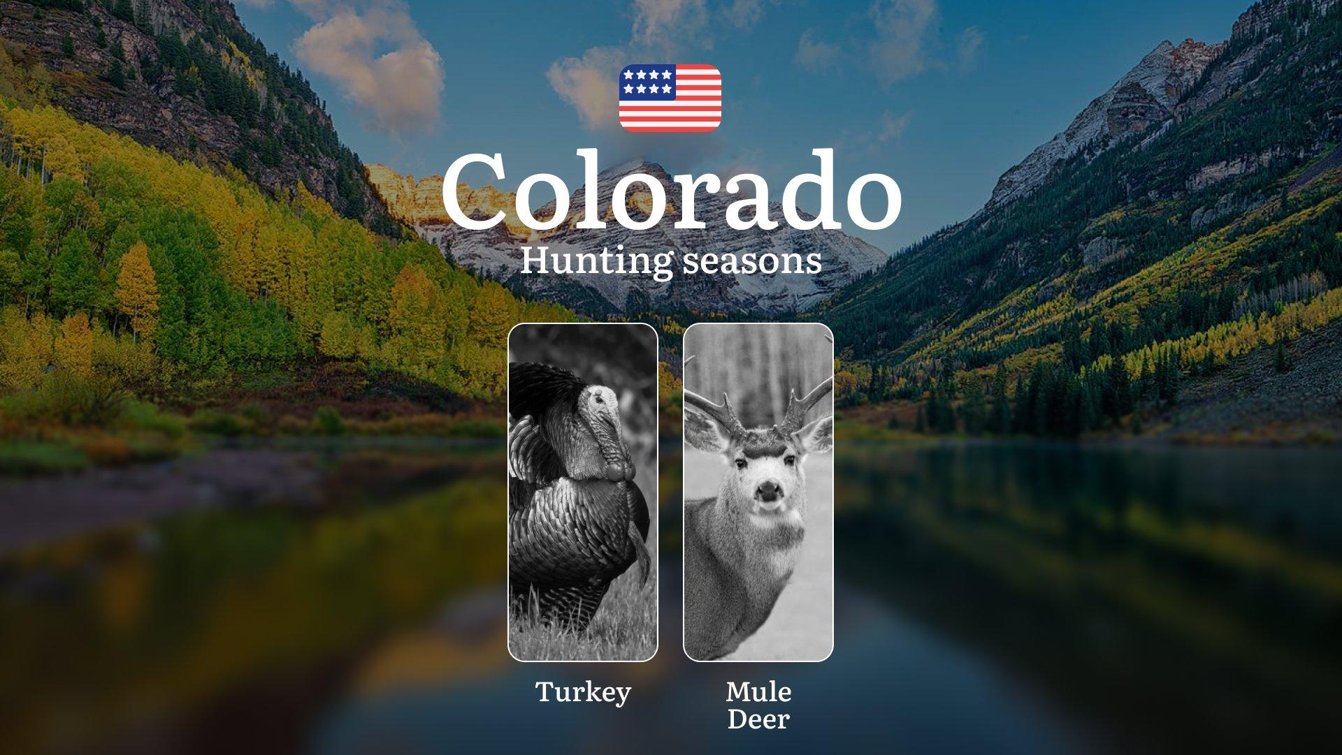 United States, Colorado: Hunting Seasons, Regulations, Licenses and Consequences for Violating Hunting, General Rules and Hunting Dates