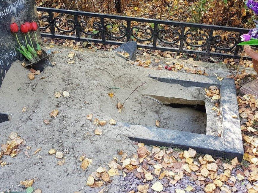 В Карелии медведь-могильщик раскопал захоронение мужчины