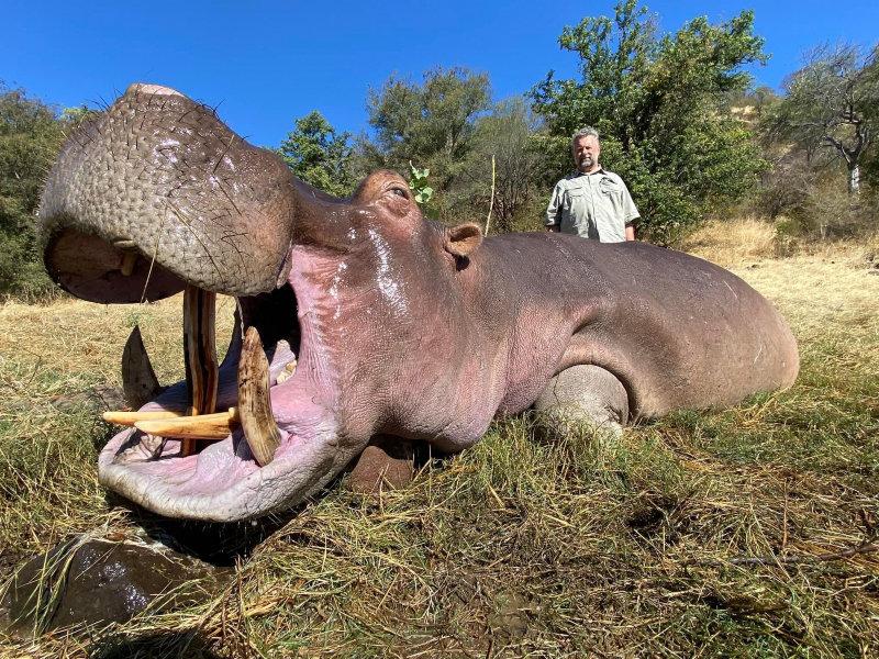 Some fantastic hippo and croc taken in lake Kariba Zimbabwe.