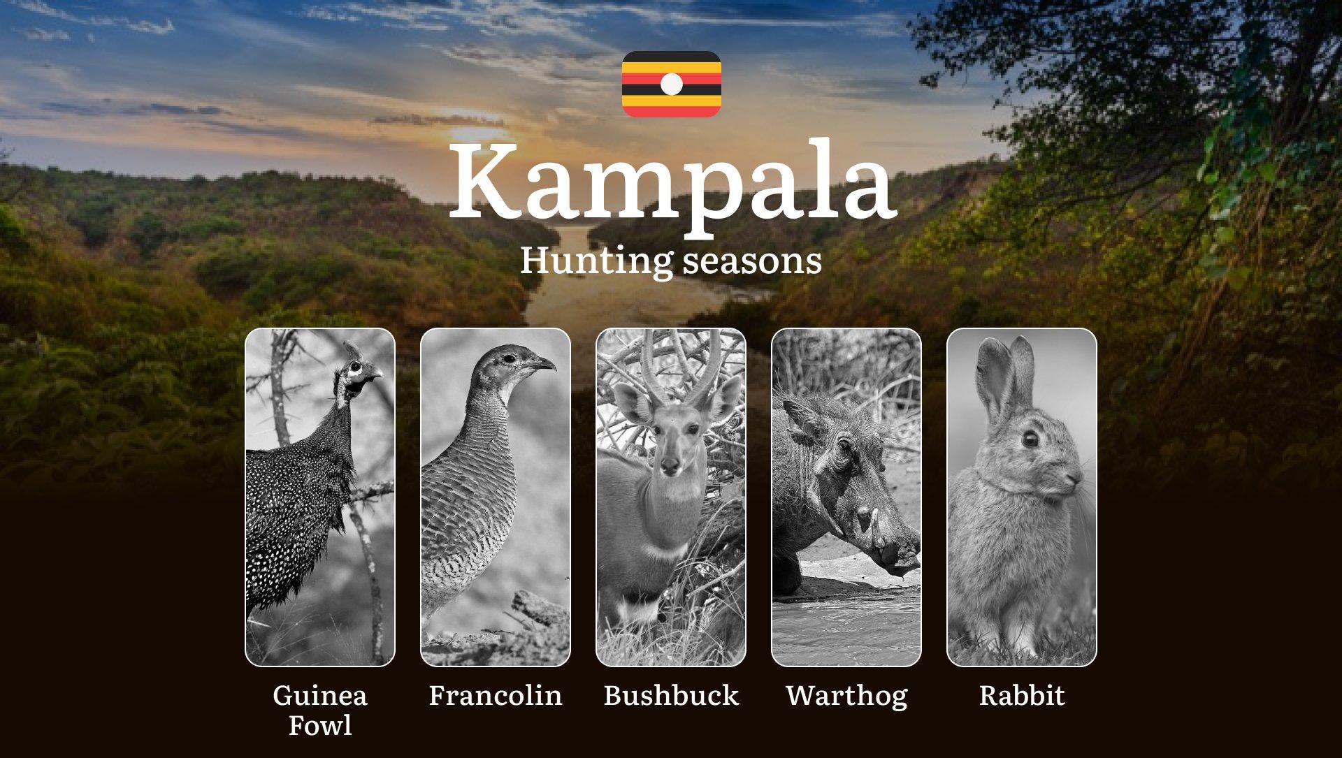 Hunting Season Dates in Kampala: Regulatory Caps and Seasonal Closures, License Requirements, Penalties and Legal Outcomes for Infractions, Strategic Planning, Best Timing, Equipment Selection