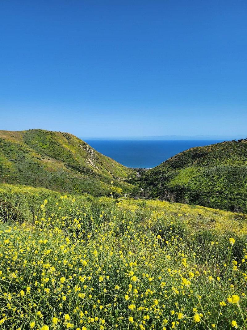 Solstice Canyon Loop