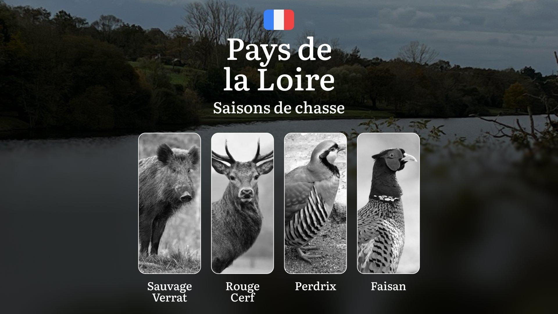 Saisons de chasse en PAYS DE LA LOIRE: Calendrier Complet, Réglementation Détaillée et Conseils Pratiques 