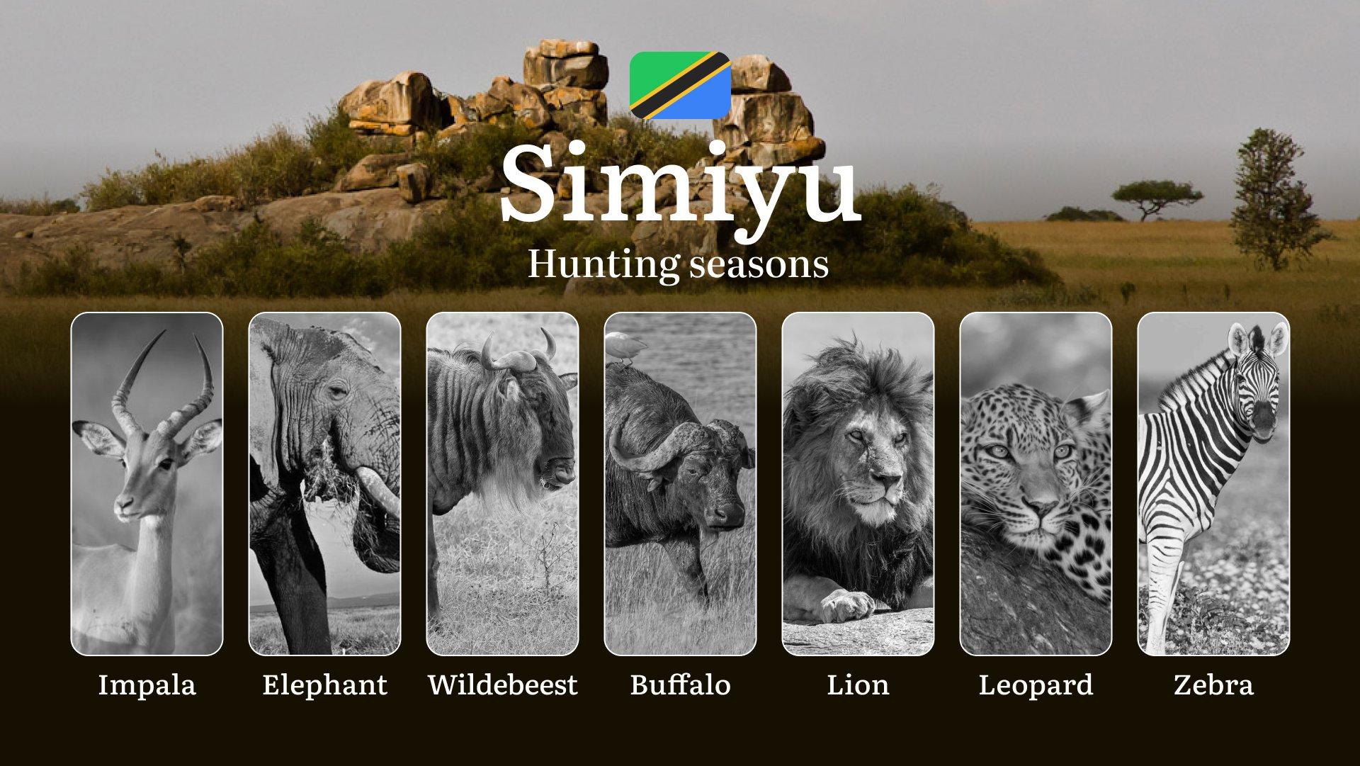 Hunting Calendar for Simiyu: Prime Times for Big and Small Game, Restricted Areas, Regulations and Exemptions, Obtaining Your Hunting Permit, Equipment, Locations, and Optimal Timing