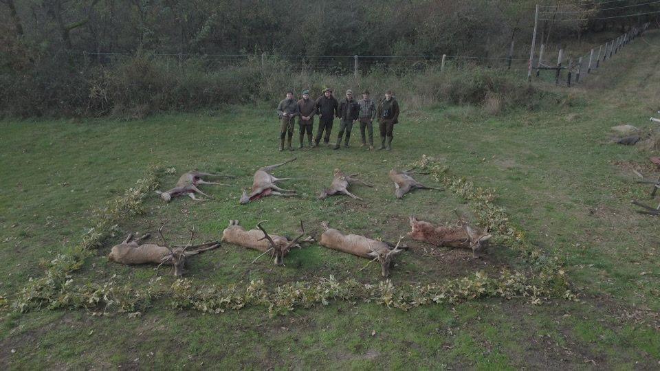 🇭🇺🐗🦌🌿