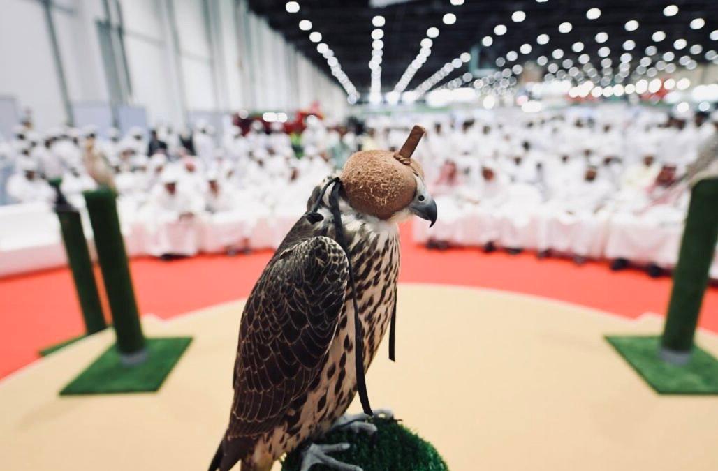 ADIHEX-中東で最大の狩猟＆馬術展示会。