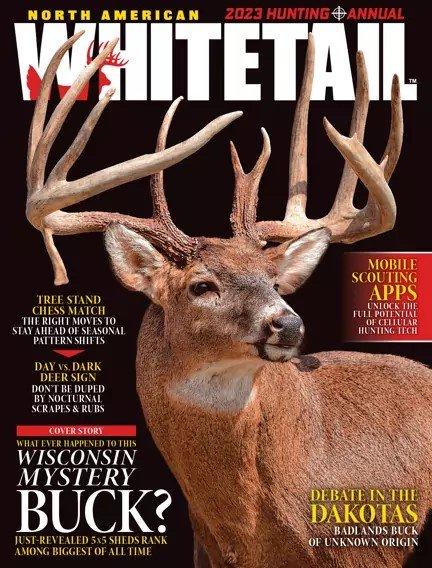 North American Whitetail