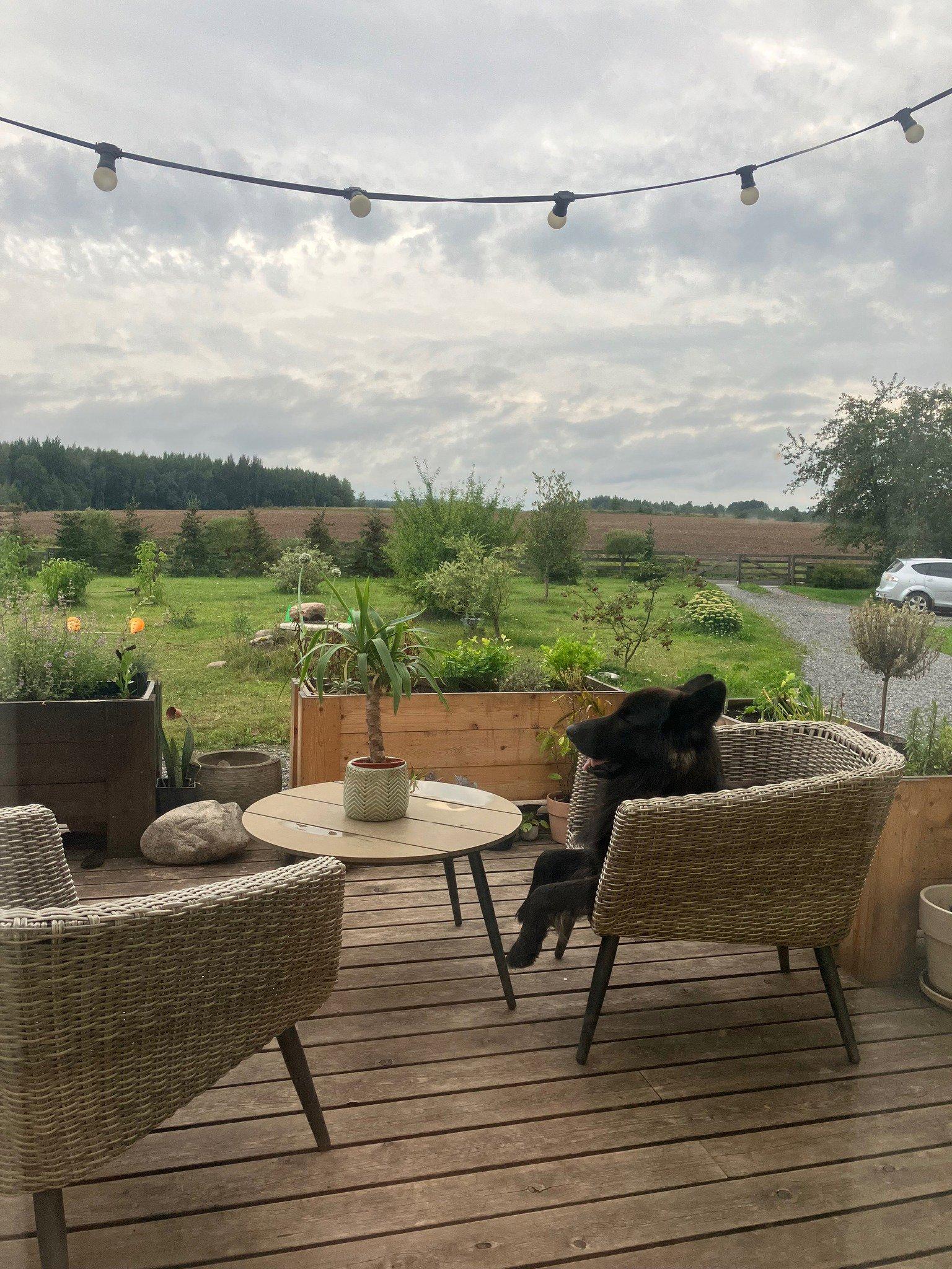 Greetings from Estonia