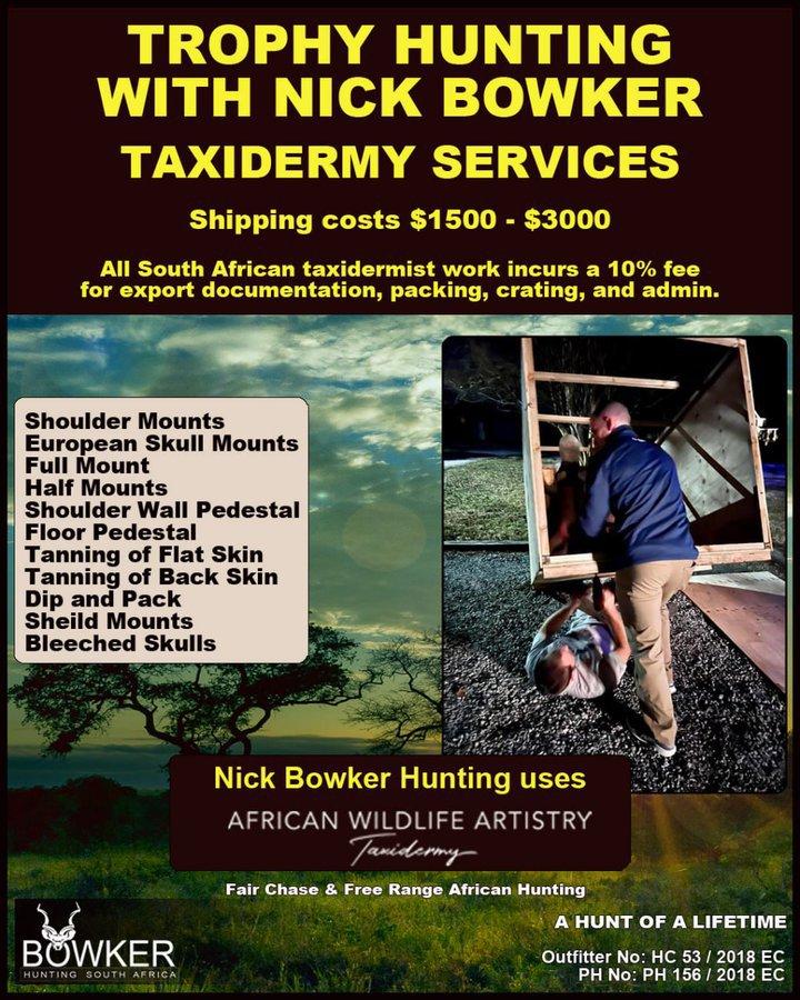 #hunting #nickbowkerhunting *a hunt of a lifetime * fair chase hunting, free-range * 7 trophies * 10 days * no hidden costs * Outfitter No: HC 53 / 2018 EC; PH No: PH 156 / 2018 EC - Taxidermy Packages https://nickbowkerhunting.com/south-african-taxidermy-prices