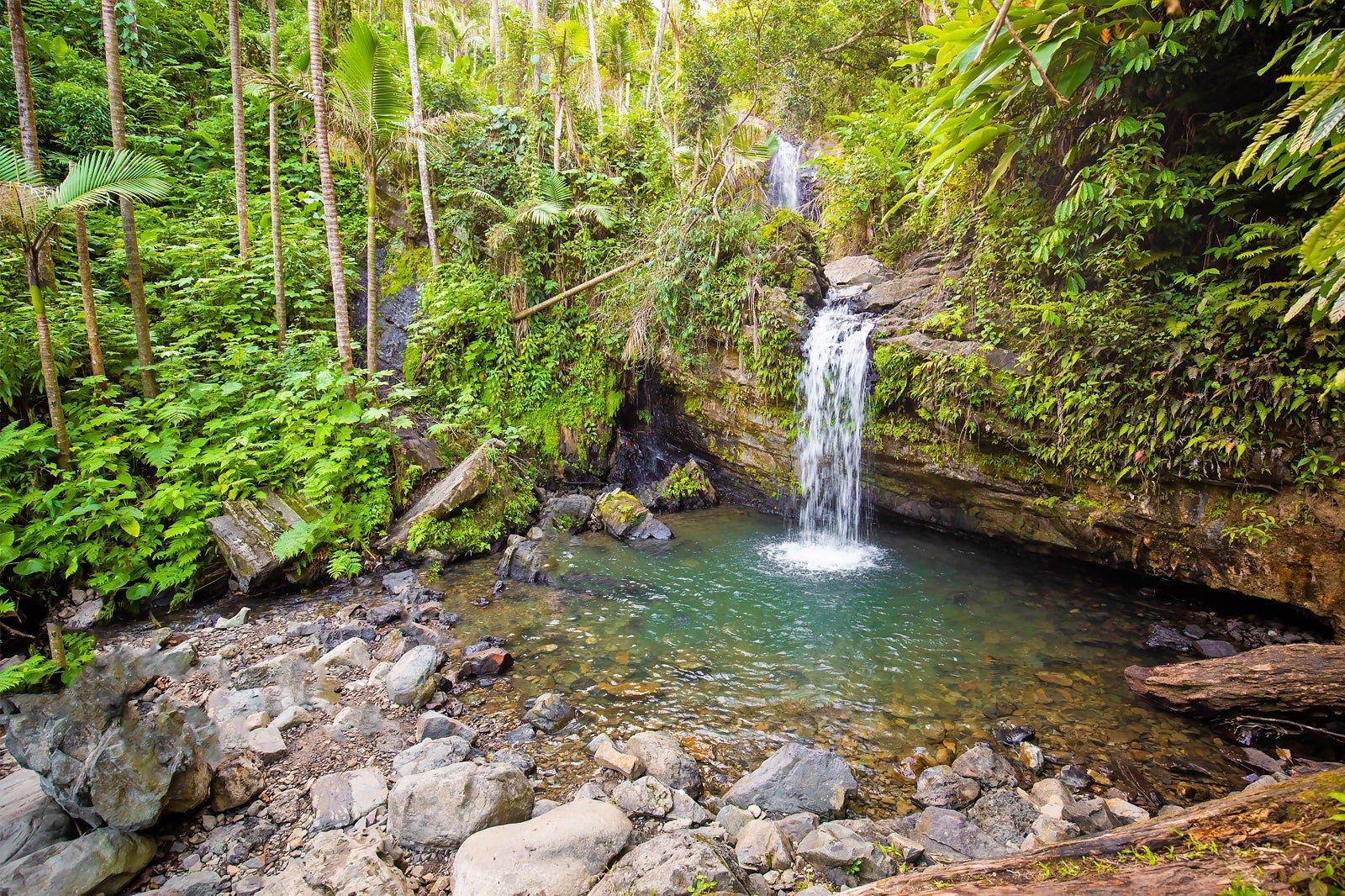 El Yunque National Forest, Puerto Rico