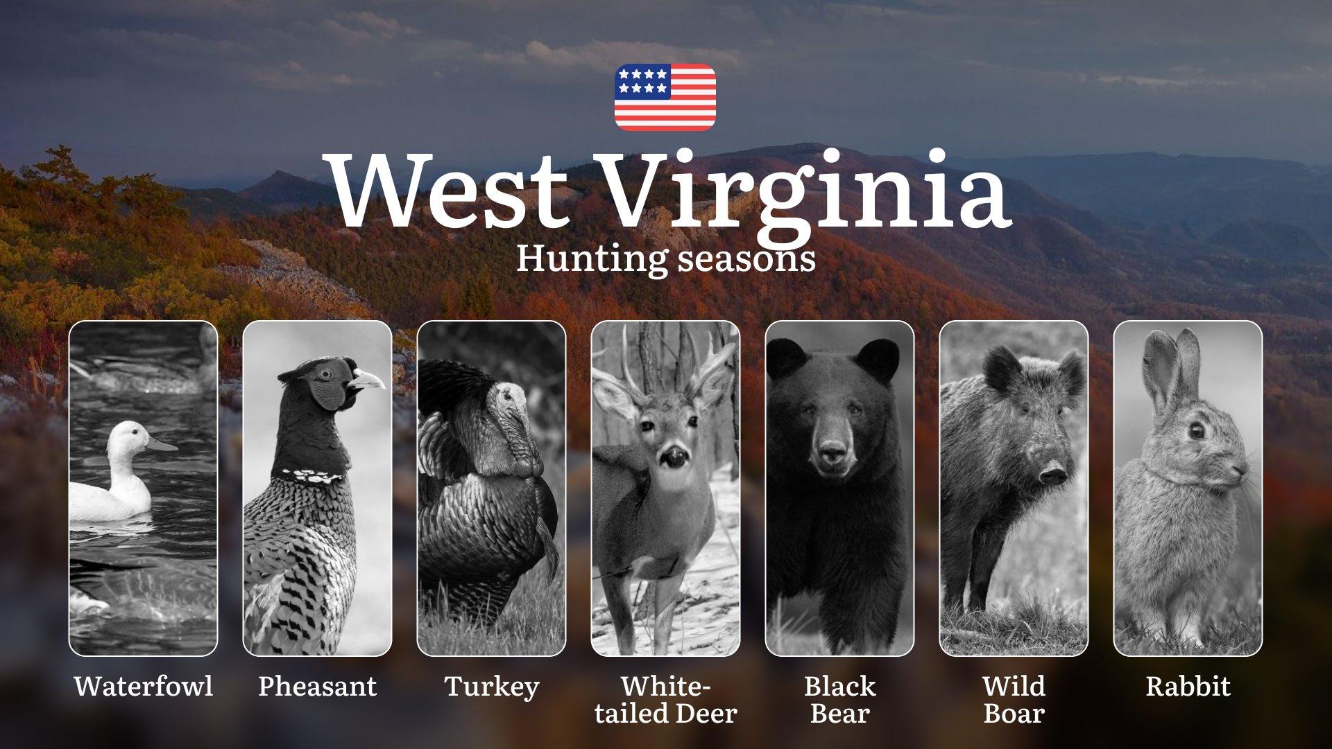 West Virginia, USA: Hunting Seasons and Periods, Openings and Closings, Licenses, Rules, Tips for Choosing the Right Time and Location