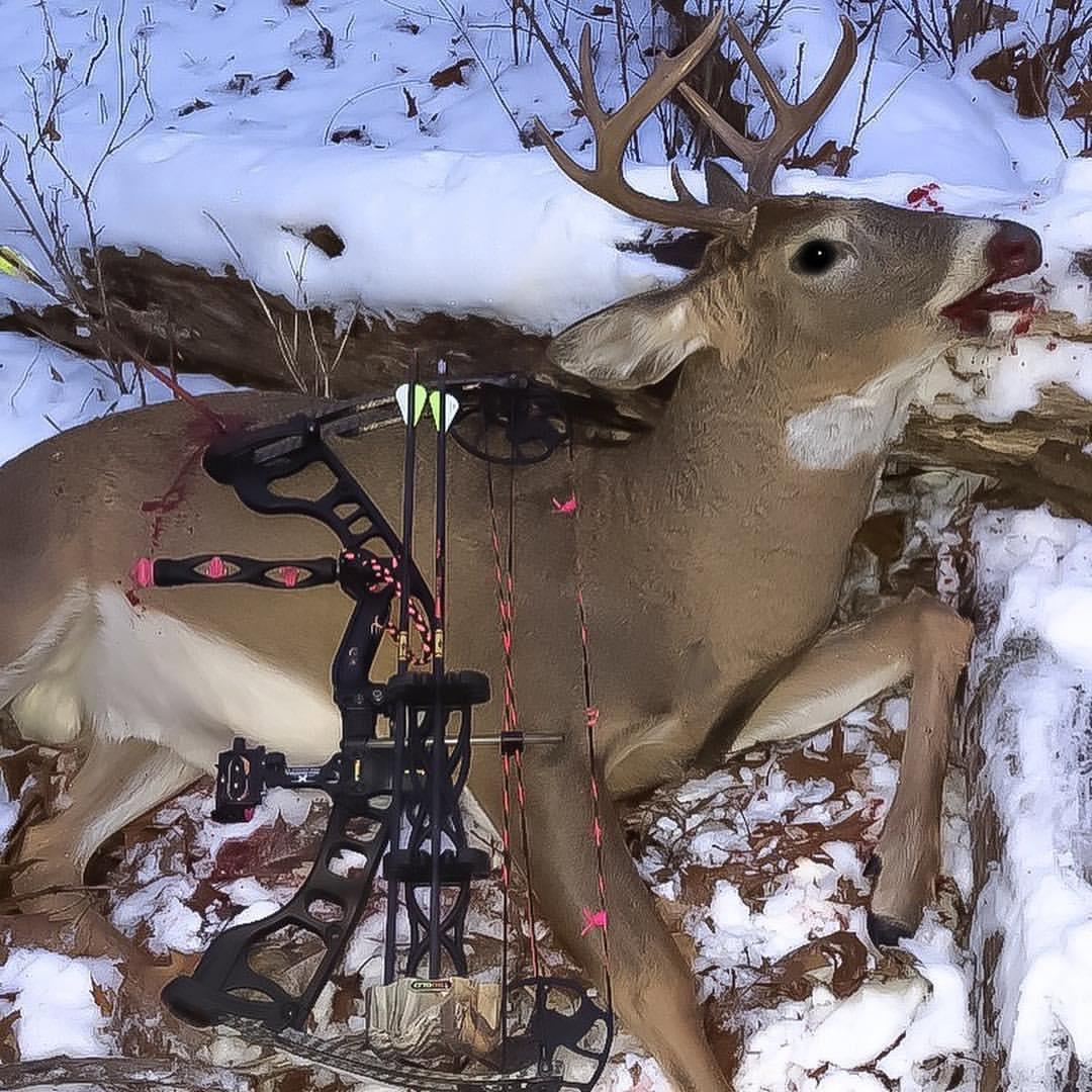 Winter deer hunting is not only a test of your skills, but also a commitment to the reverence and conservation of nature.