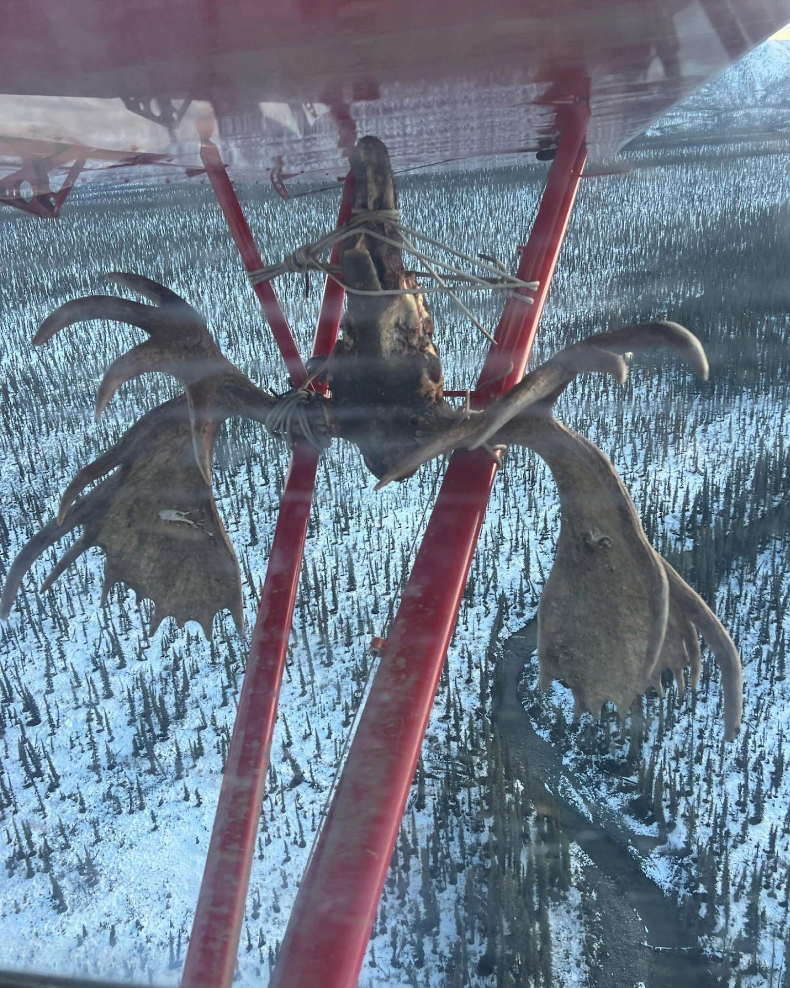 “Ever since I was a kid, an Alaskan moose hunt has been at the top of my list.