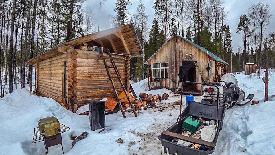 Охота в тайге