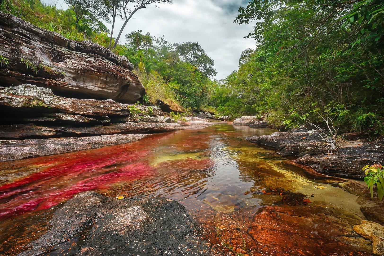 Caño Cristales, Colombia