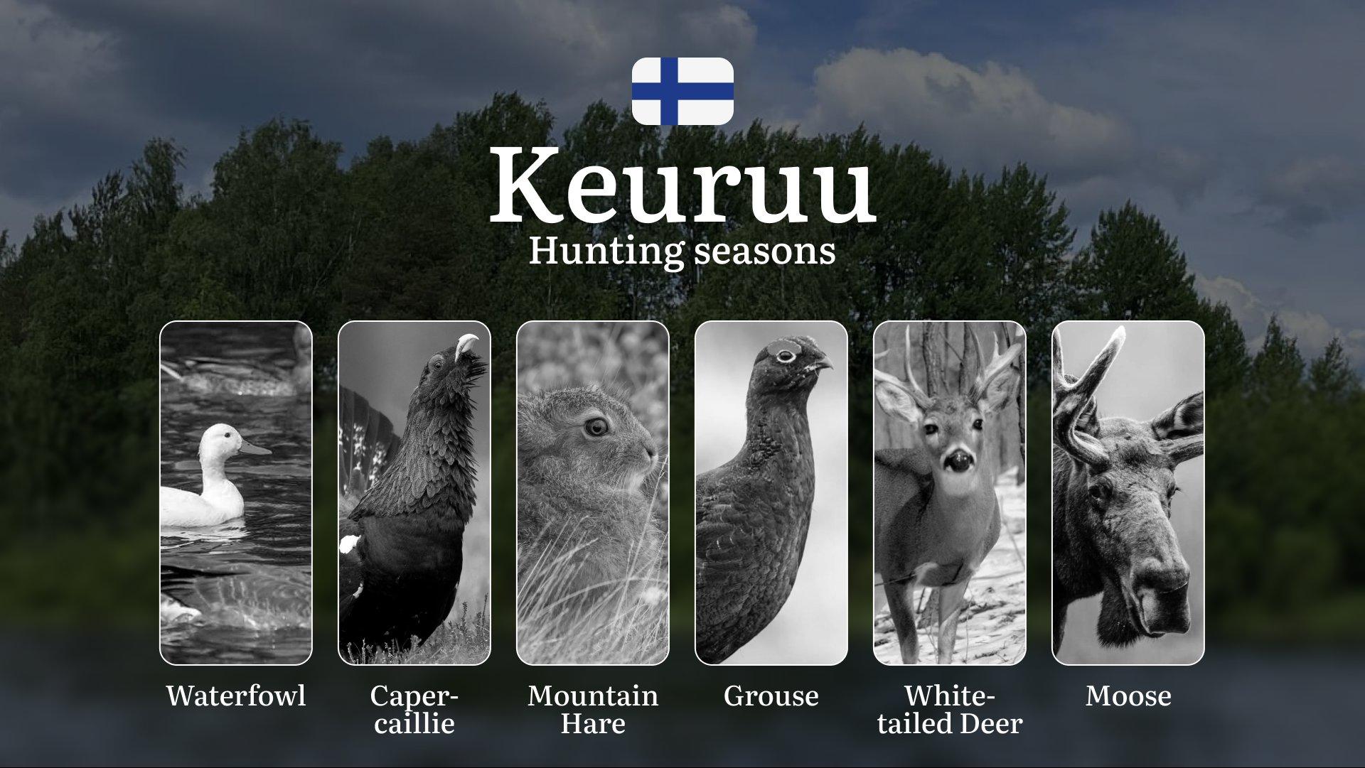 Hunting Seasons in KEURUU: Optimal Hunting Periods, Required Licenses, Legal Consequences, Crucial Regulations and Restrictions