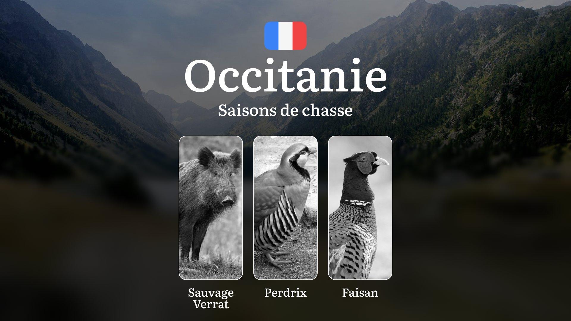 Saisons de Chasse en OCCITANIE: Dates Officielles, Spécificités Saisonnières, Réglementations Locales et Stratégies Optimales