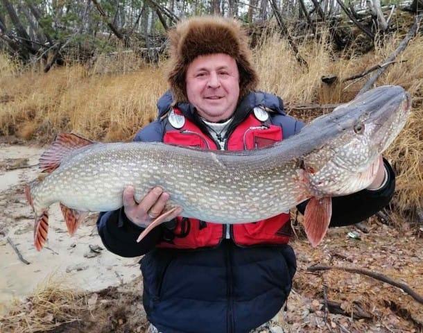Щука весом 11 кг.