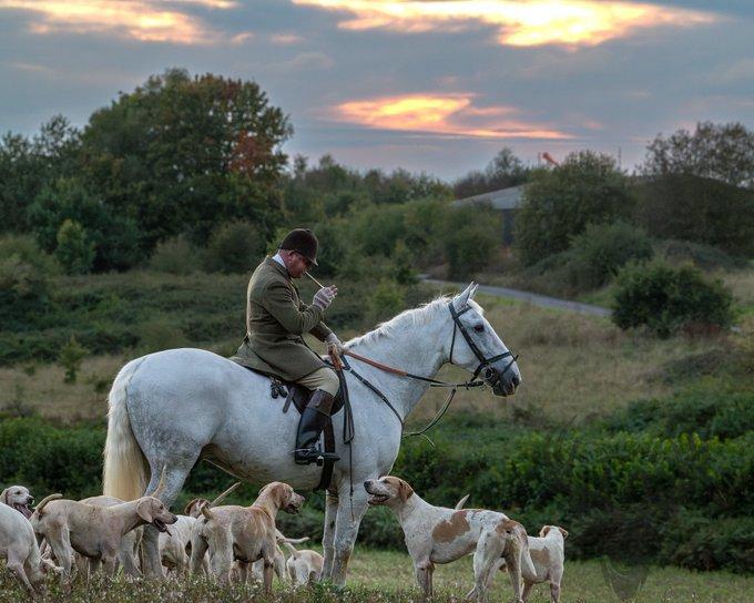 🦌 Hunting on Horseback with Dogs: The Thrill and Tradition 🏇🐕