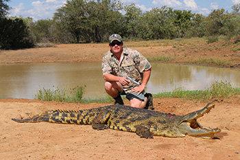 Crocodile Hunts