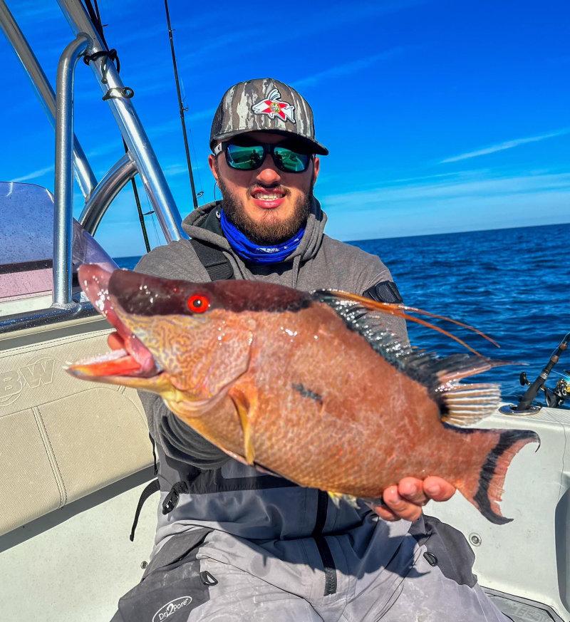 Everyone Loves Bacon!!The Hogfish bite has been on fire!