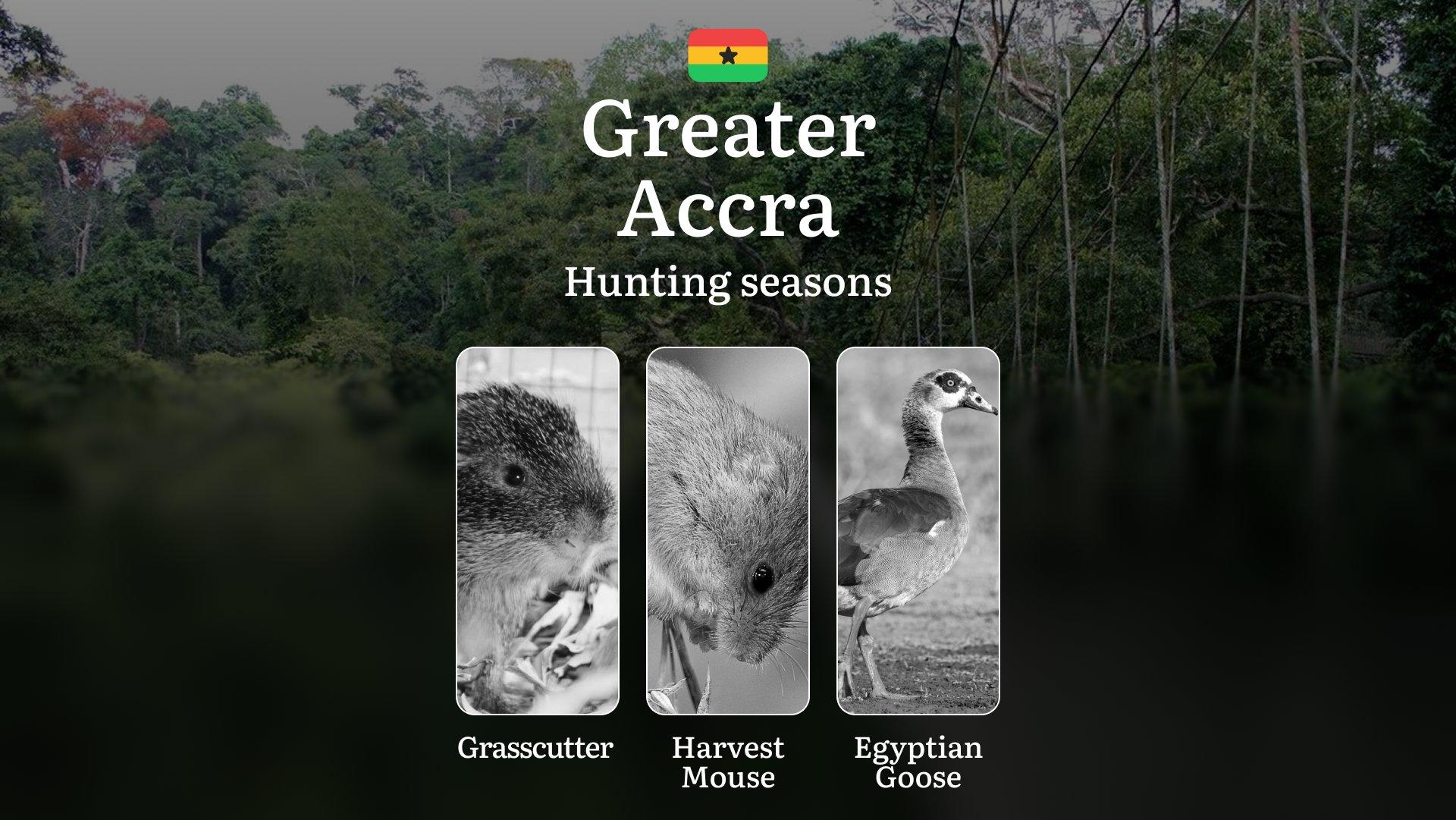 Hunting Calendar in Greater Accra: The Thrill of Hunting Events and Traditions, Legislation & General Hunting Rules and Permits