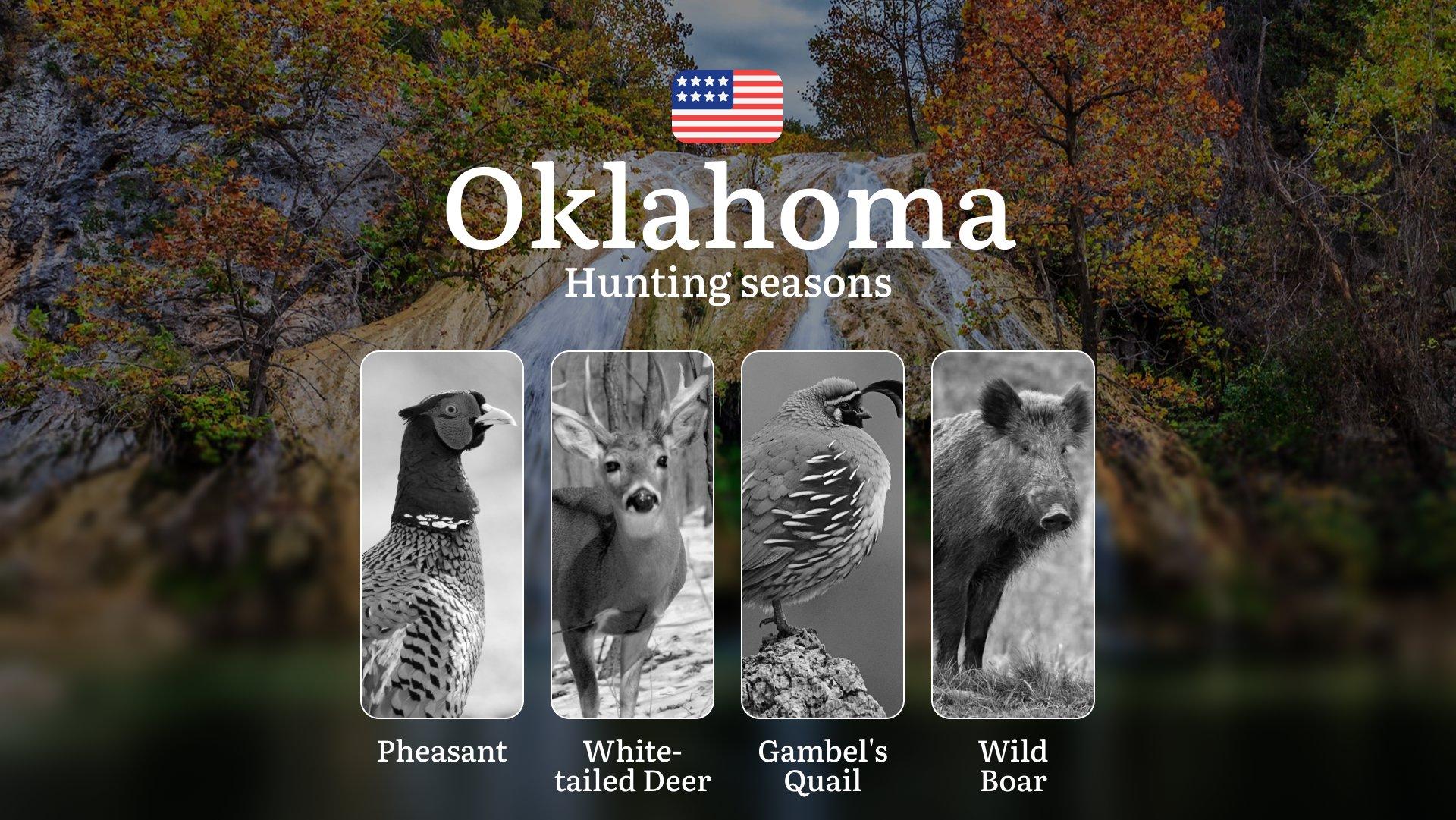 Hunting Seasons in Oklahoma: Hunting Periods and Regulations, Prohibitions and Restrictions, Tips for Choosing Time, Location