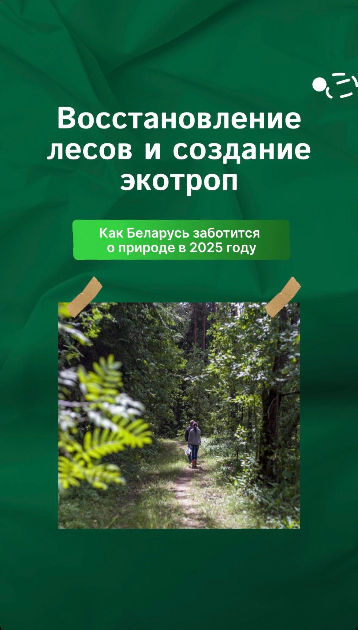 По информации Минлесхоза, в 2025 году — Год благоустройства - стартует масштабная программа по восстановлению и облагораживанию лесных территорий.