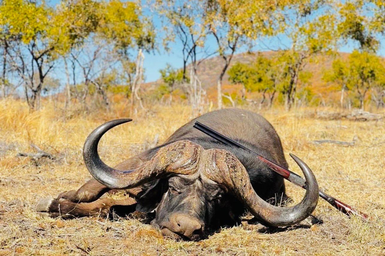 Big Game Hunting in Africa: A Guide to the Thrill of the Hunt