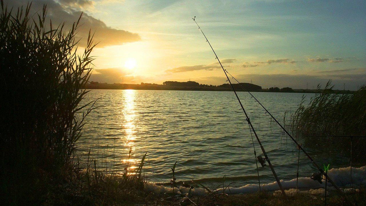 Žvejyba buvo sėkminga