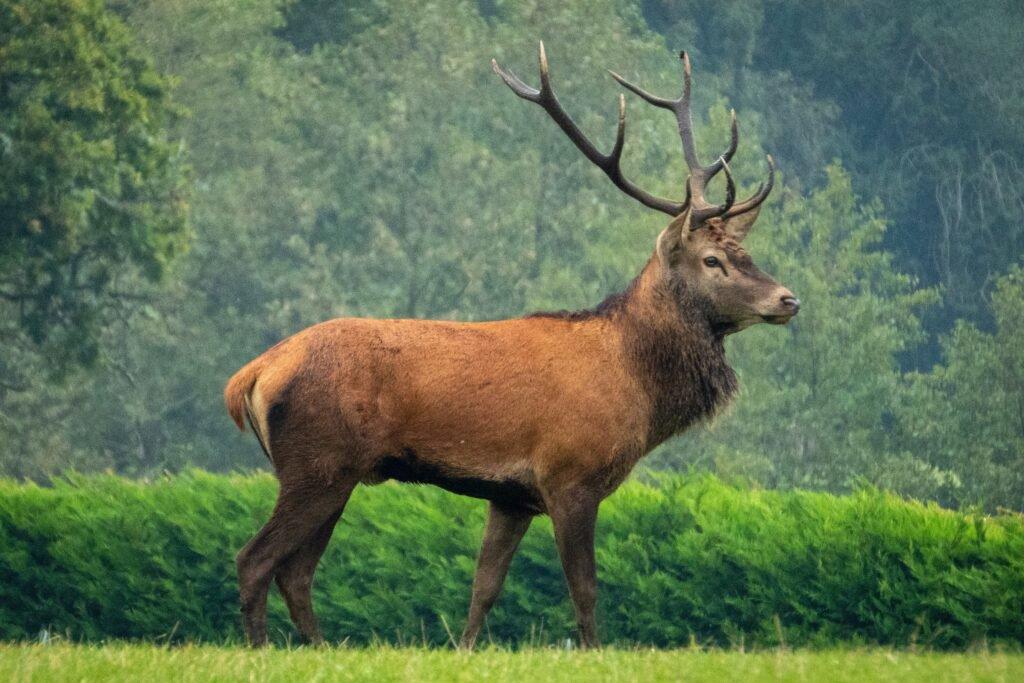 Kes on minuga septembris?