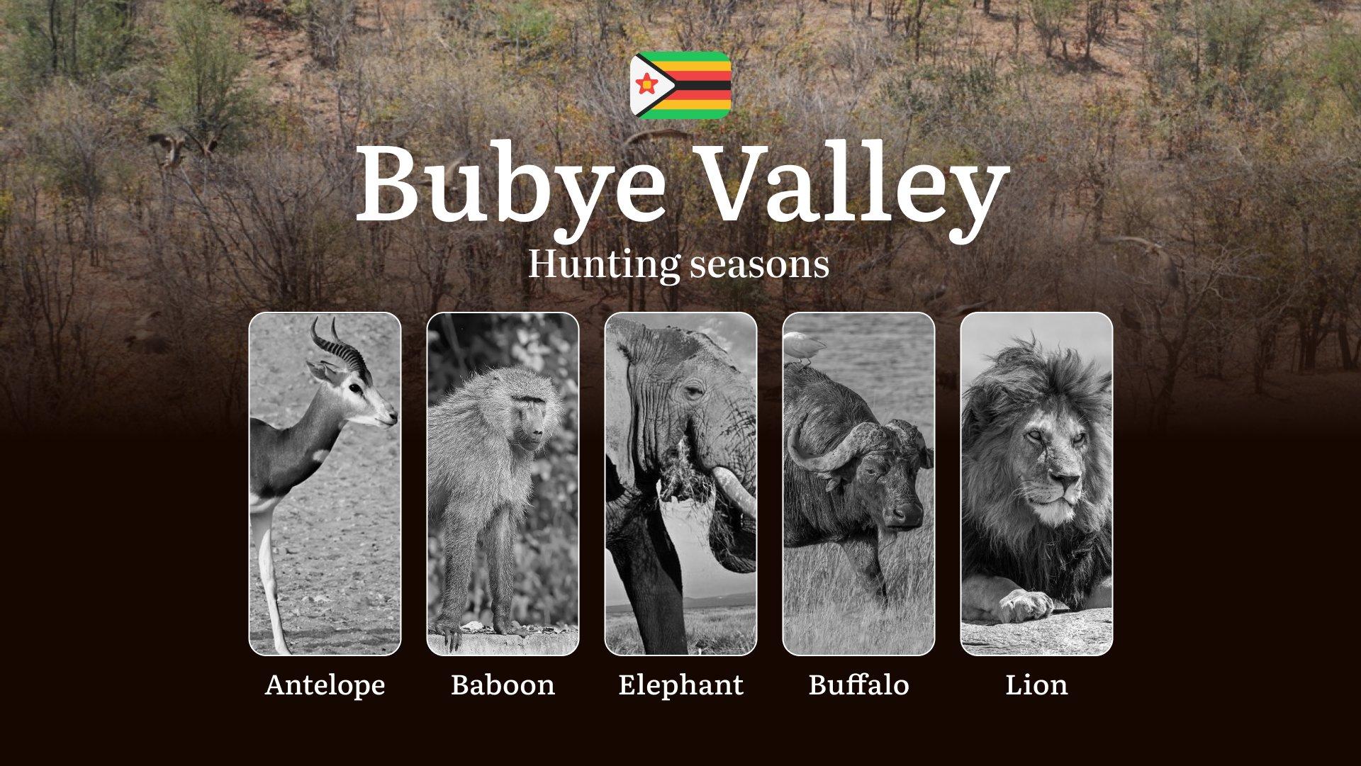 Hunting Seasons in Zimbabwe’s BUBYE VALLEY: Hunting Periods, Opening and Closing Dates, Licenses, Rules, and Times for Hunting