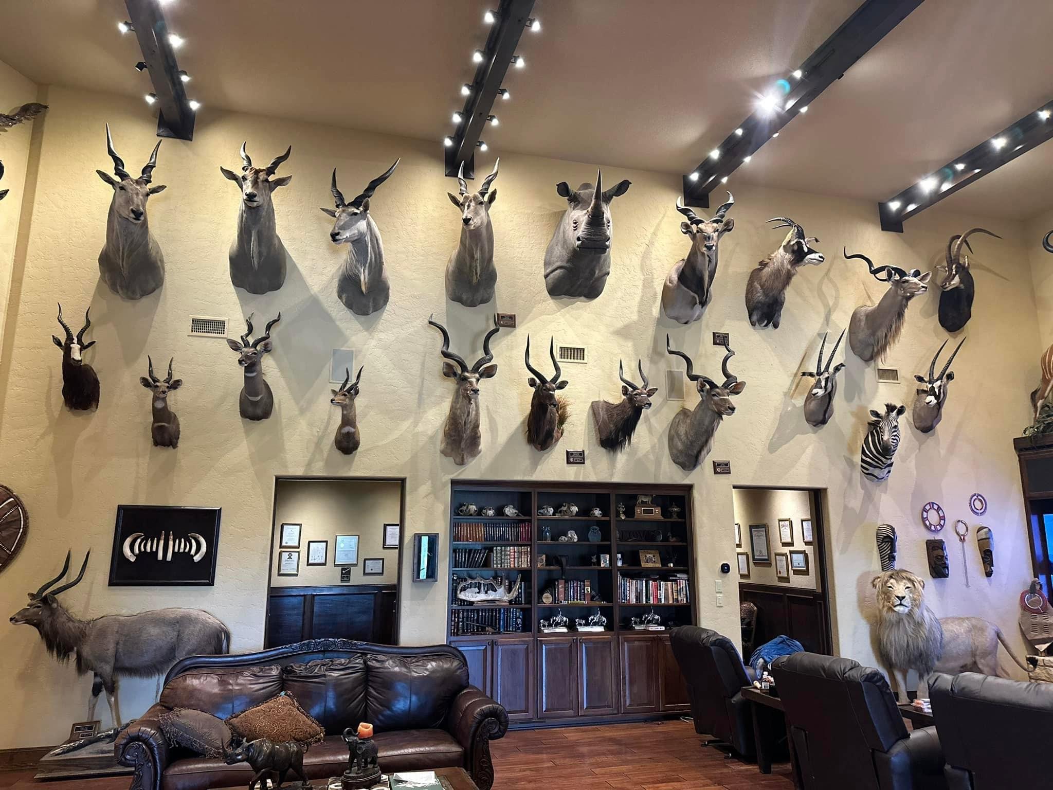 New trophy room additions!!