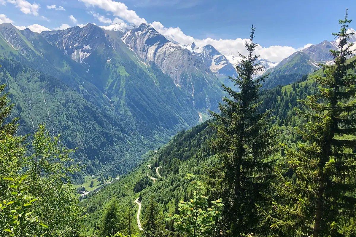 Die Jagd im Raum Innsbruck Land: Gegebenheiten, Jäger, Wildtierbestände, Jagdmethoden, Zeiträume, Vorschriften, Organisationen, Traditionen, Aspekte         