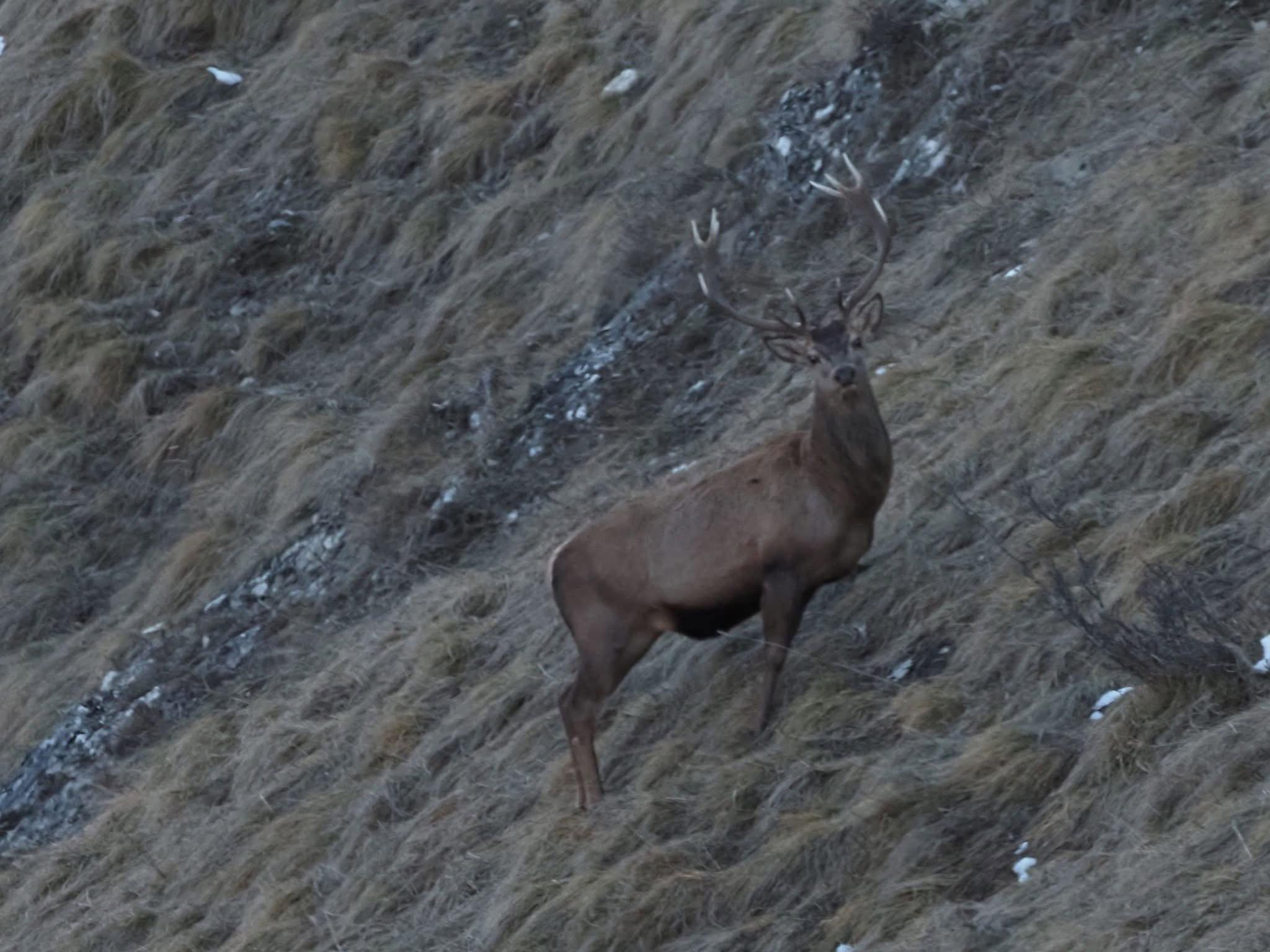 série prise en début de mois de Janvier en Savoie, dans la vallée des Bellevilles.