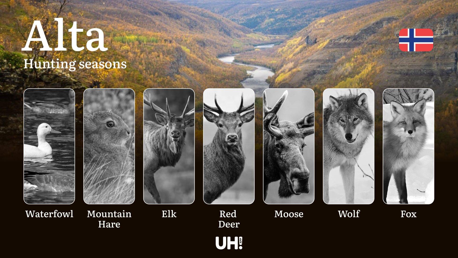 Hunting Seasons in Alta: Regulations, Permits, and Time for Hunting, Documents and Organizations